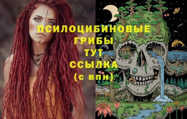 spice Белоозёрский