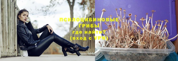 spice Белоозёрский